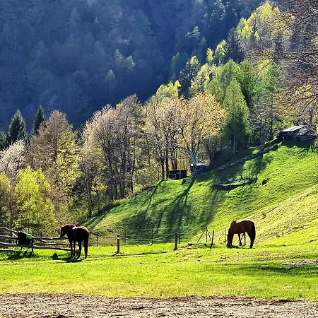 Baita Motti-3